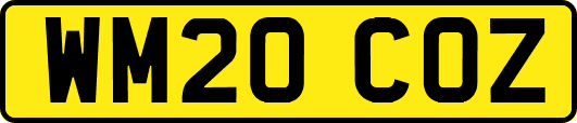 WM20COZ