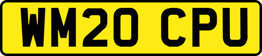 WM20CPU