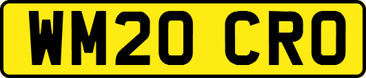 WM20CRO