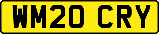 WM20CRY