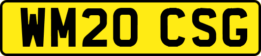 WM20CSG