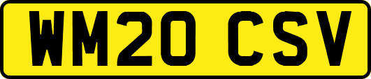 WM20CSV