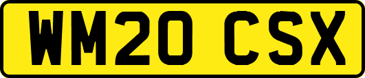 WM20CSX
