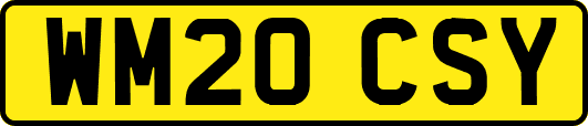 WM20CSY