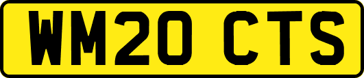 WM20CTS