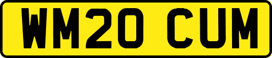 WM20CUM