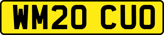 WM20CUO