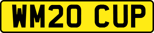 WM20CUP