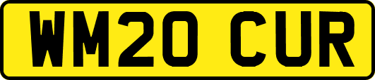 WM20CUR