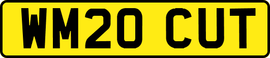 WM20CUT
