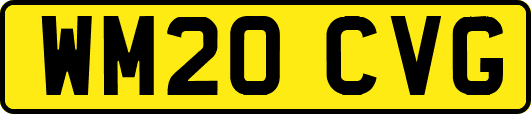 WM20CVG