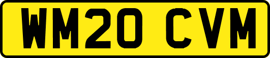 WM20CVM