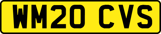 WM20CVS