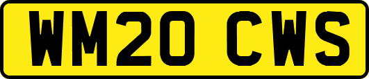 WM20CWS