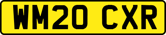 WM20CXR