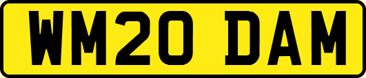 WM20DAM