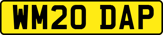 WM20DAP