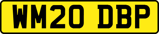 WM20DBP