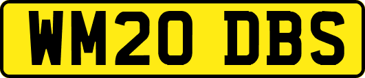 WM20DBS