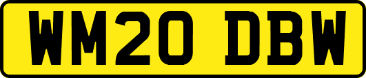 WM20DBW
