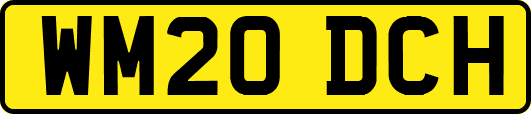 WM20DCH