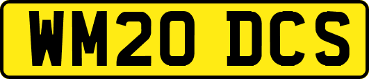 WM20DCS