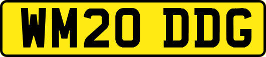 WM20DDG