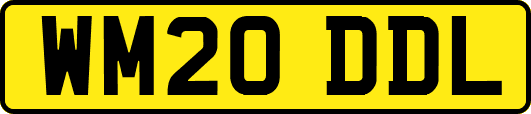 WM20DDL