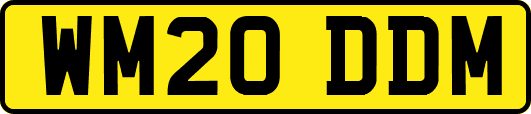 WM20DDM