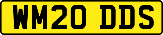 WM20DDS