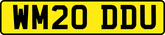 WM20DDU