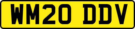 WM20DDV