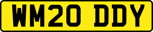 WM20DDY