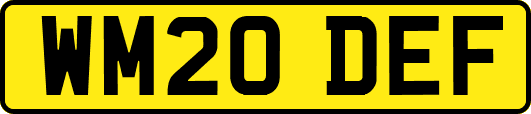 WM20DEF