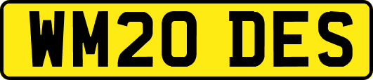 WM20DES