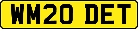 WM20DET