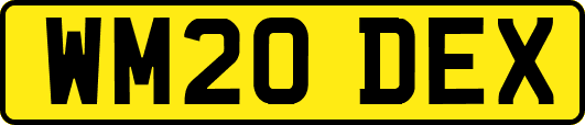 WM20DEX