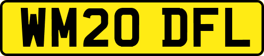 WM20DFL