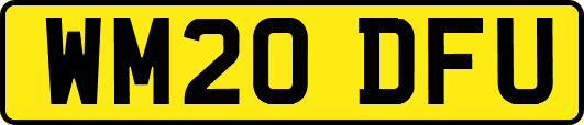 WM20DFU