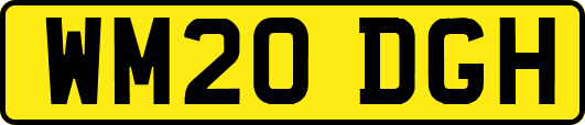 WM20DGH