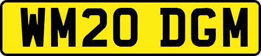 WM20DGM