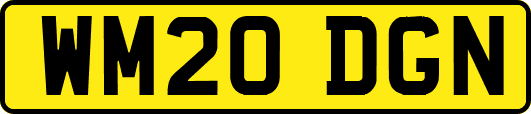 WM20DGN