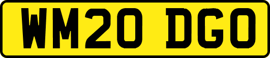 WM20DGO