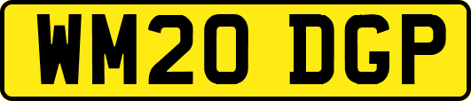 WM20DGP