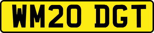 WM20DGT