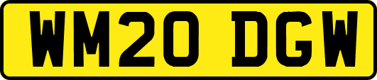 WM20DGW