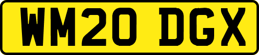 WM20DGX