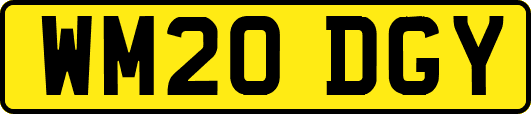 WM20DGY