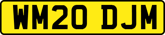 WM20DJM