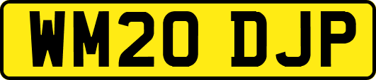 WM20DJP